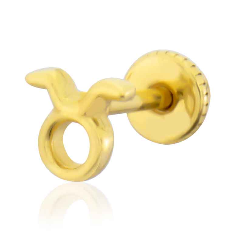 Boğa burcu Tragus Küpe